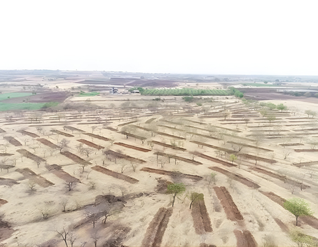 आरोग्य व शिक्षण